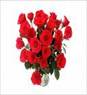 http://tbn3.google.com/images?q=tbn:n6r7eS6-IghpZM:http://product-image.tradeindia.com/00068297/b/Karishma-Floriculture.jpg